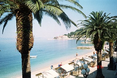 Vibrant seaside promenade lined with tall palm trees and beach umbrellas. Clear blue waters meet a rocky coastline with scatt...