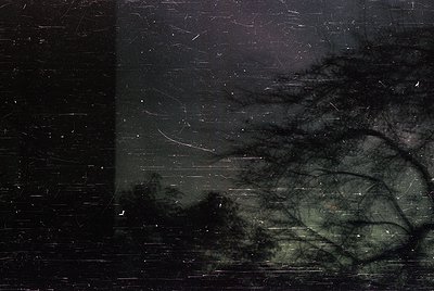 High-contrast monochrome shot of a bare tree silhouette against a textured brick wall during snowfall. The vertical lines of ...