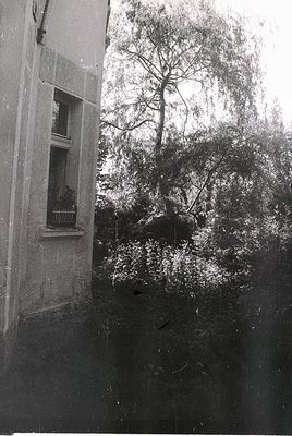 Vintage black-and-white shot of a narrow urban alleyway with a weathered concrete wall on left. A small, arched window with d...