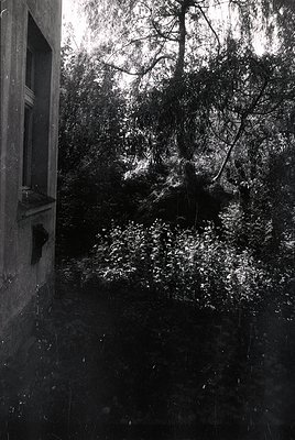 Black-and-white street scene framed by a window sill, showing rain-soaked pavement and bare trees. Architectural details incl...