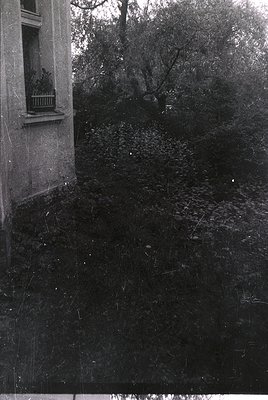 Vintage black-and-white photo of a sloped garden area beside a stone building with a small balcony planter. Overgrown foliage...