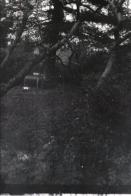 Isolated wooden cabin nestled in dense forest, elevated on rocky terrain. Minimalist structure with simple rectangular design...