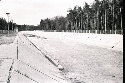 Empty concrete stadium track with segmented lanes, flanked by pine trees and utility poles. Mid-20th century construction, li...