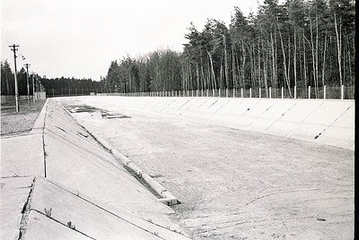 Concrete track with embedded drainage channels, flanked by young pine trees in orderly rows. Likely a sports stadium or race ...