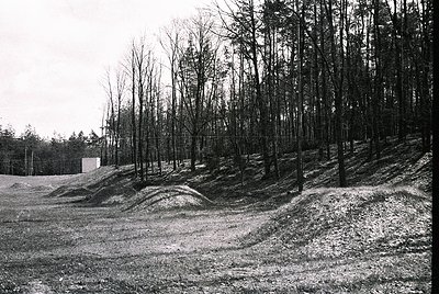 Concrete anti-tank obstacles lined with barbed wire, flanked by dense forest. Likely WWII-era defensive positioning.