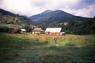 Vintage rural scene featuring rustic wooden farmhouses with pitched roofs, surrounded by lush green fields and forested hills...