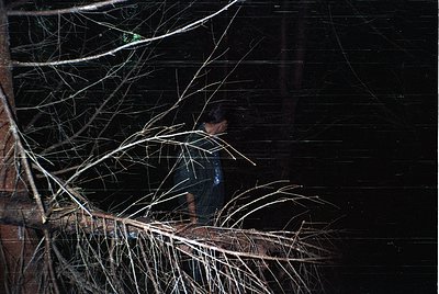 Silhouetted figure standing under bare tree branches against a dark, textured wall. Moody lighting emphasizes contrast betwee...