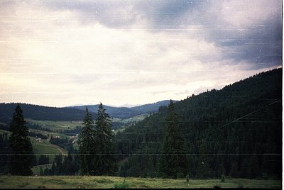 Vintage landscape shot of forested valley with misty, layered hills under overcast skies. Coniferous trees dominate the mid-g...