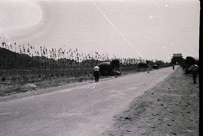 Vintage black-and-white rural road scene with a lone horse-drawn cart and pedestrians. Dry, sunbaked landscape with sparse ve...