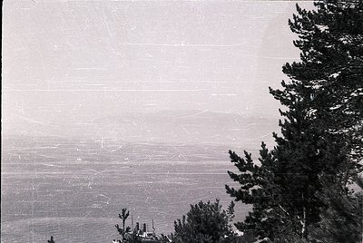 Vintage aerial view of forested mountain ridge with misty valley below. Coniferous trees frame the right edge; faint road or ...