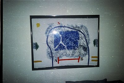 Skull diagram framed on textured wall, likely for anatomical or medical study. Blue ink highlights cranial bones with labeled...