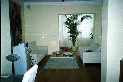 Minimalist interior featuring light-colored sofas, a glass coffee table, and a large potted palm near a window with sheer cur...
