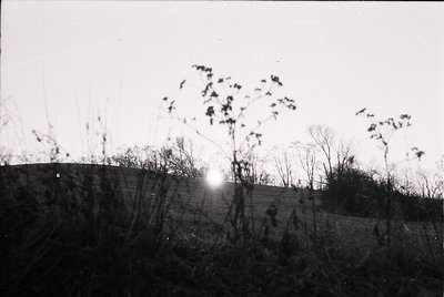 Black-and-white landscape featuring barren trees silhouetted against a low sunburst. Rolling terrain with sparse vegetation, ...
