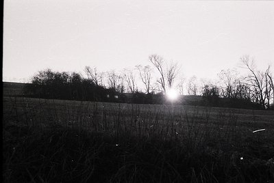 Silhouetted landscape with low sunburst behind leafless trees and tall grasses, likely autumn/winter. Black-and-white composi...