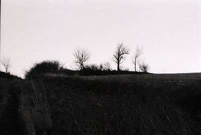 Black-and-white landscape featuring a steep, eroded hillside with sparse vegetation. Three leafless trees stand atop the ridg...
