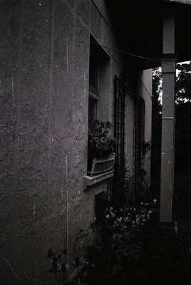 Monochrome close-up of weathered stone facade with a small balcony adorned by potted plants and climbing vines. Architectural...