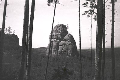 Isolated rock formation rising from dense forest, framed by tall pine trees. Dramatic monochrome composition suggests vintage...