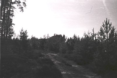 Vintage black-and-white rural road winding through dense forest, bordered by barbed wire fencing. Overgrown vegetation and sp...