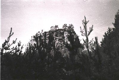 Monochrome landscape featuring a jagged rock formation rising from dense forest. The rugged peak contrasts with sparse, leafl...