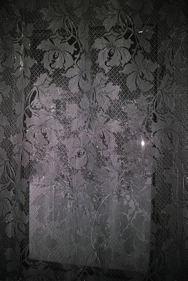 Vintage floral-patterned lace curtain with intricate damask motifs, likely from the 1950s–1970s. Semi-transparent fabric capt...