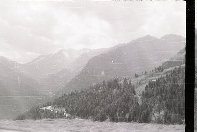 Vintage black-and-white alpine landscape featuring dense coniferous forest descending into a valley. Snow-capped peaks rise i...