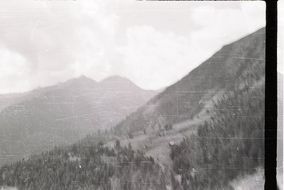 Vintage black-and-white aerial view of forested mountainous terrain, likely captured mid-20th century. Dense pine forests dom...