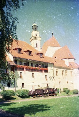 Historic European castle with red-tiled gables and central tower, featuring floral balconies. Likely 19th-century architectur...