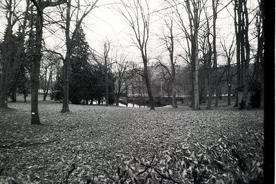 Barren winter park with fallen leaves covering grass, flanked by leafless trees and a distant stone bridge. Monochrome vintag...