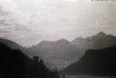 Vintage black-and-white mountain landscape with dense coniferous forest in foreground. Mist or low clouds obscure mid-range p...