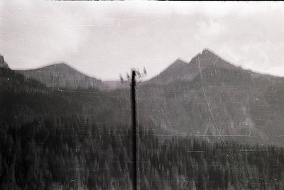 Vintage black-and-white mountain landscape with dense forest foreground. Distinctive jagged peaks and misty valleys suggest a...