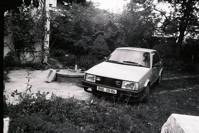 Vintage sedan parked on overgrown concrete slab beside concrete well, surrounded by dense foliage and graffiti on adjacent wa...