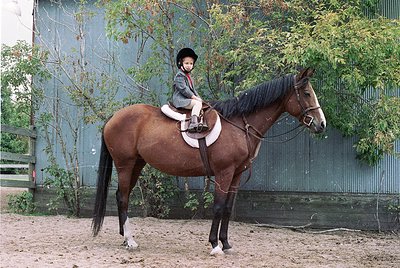 Young rider in traditional equestrian attire atop a brown horse, standing on sandy arena ground. Metal fence and greenery in ...