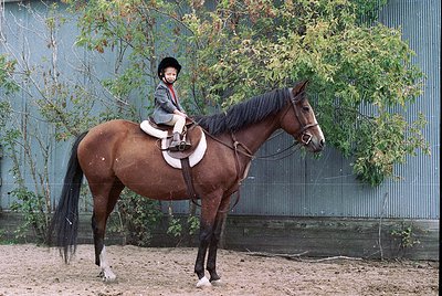 Young rider in traditional equestrian attire atop a dark bay horse, standing on sandy arena ground. Industrial fence and gree...