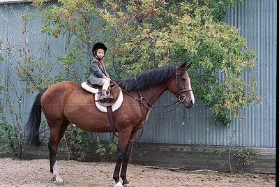 Young rider in traditional equestrian gear atop a brown horse, standing on sandy ground beside a metal fence and greenery. Cl...
