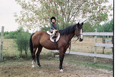 Young rider in traditional riding gear atop a draft horse, standing on a dirt path beside a rustic wooden fence. Autumn folia...