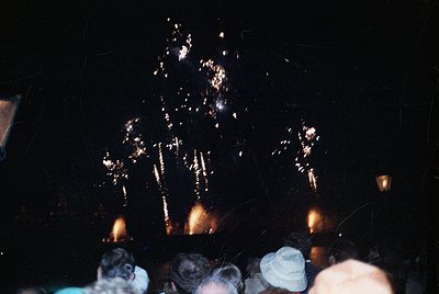 Fireworks display silhouetting a tree-like structure against night sky. Crowd faces upward, capturing explosion patterns. Lik...