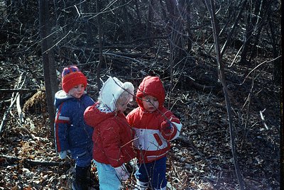 Three children in winter attire explore a wooded area, bundled in red and blue jackets with knit hats. Snow lingers on branch...