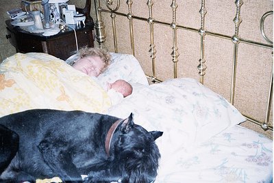 Vintage bedroom scene featuring a child sleeping on floral-patterned bedding beside a black cat. Iron bed frame with ornate s...