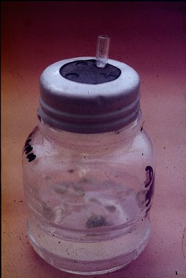 Vintage glass jar with white plastic screw-on lid featuring a small spout, likely for pouring liquids. Surface shows minor we...