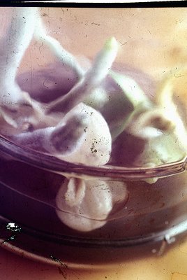 Vintage glass bowl filled with hand-cut, irregularly shaped soap pieces in a muted sepia tone. Likely mid-20th century househ...