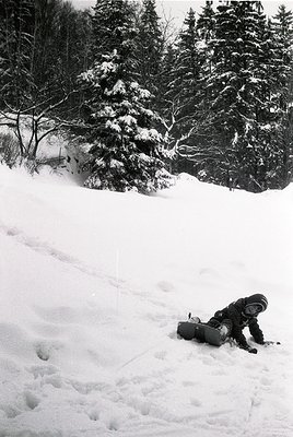 Snow-covered alpine forest with dense evergreens. A lone skier in vintage gear (dark jacket, goggles, knee-high boots) kneels...