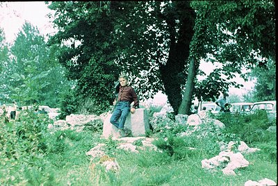 Young man in 1970s-style plaid shirt and jeans poses atop stone wall in lush, green park setting. Vibrant foliage and mature ...