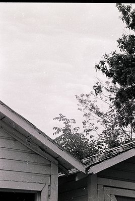 Vintage black-and-white shot of a weathered wooden house corner with exposed roof trusses and overhanging branches. The rough...