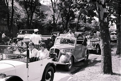 Vintage street scene with vintage cars (1950s–1960s) lined up along a tree-lined road. Classic convertibles, including a Citr...
