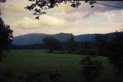Vintage sepia-toned landscape with lush green meadows, dense forest, and rolling hills under dramatic skies. Evidence of aged...