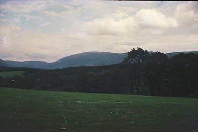 Vintage landscape shot featuring rolling hills, dense forest, and open meadow under soft, diffused light. Evidence of film gr...