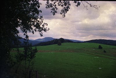 Vintage landscape shot of rolling green hills under dramatic, low-hanging clouds. Foreground framed by a tree branch, hinting...