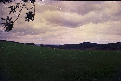 Vintage sepia-toned landscape featuring rolling green hills under a dramatic, cloud-laden sky. Partial tree branch frames lef...