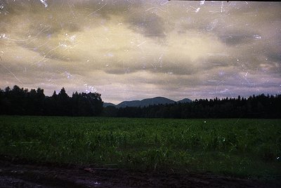 Vintage sepia-toned landscape showing lush green agricultural field under dramatic, cloud-laden sky. Distant forested ridge a...