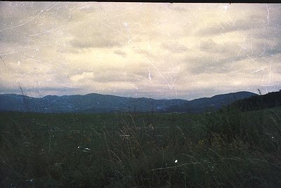 Vintage sepia-toned landscape with cracked, aged film texture. Rolling hills and open meadows under dramatic, cloud-laden sky...